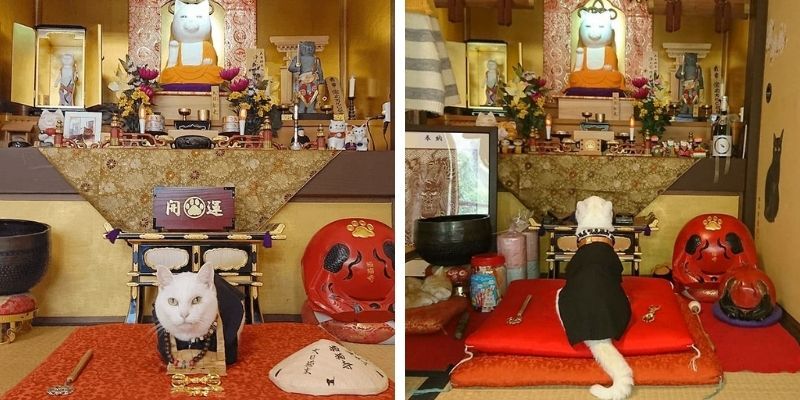 Nyannyan-ji Nyannyan-ji